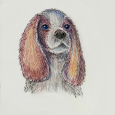Colored Pencil Drawing